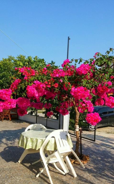 Tavilogullari Aparthotel