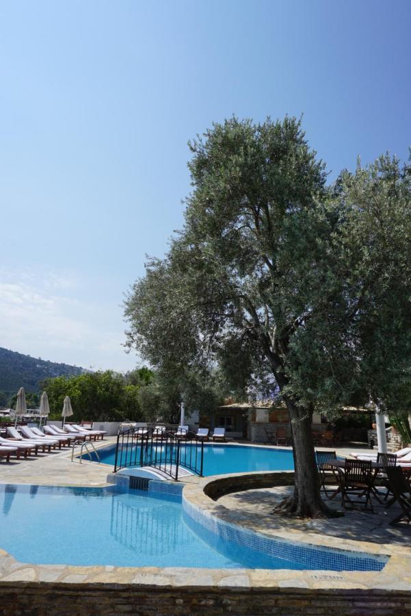 Omar & Hotel Torba