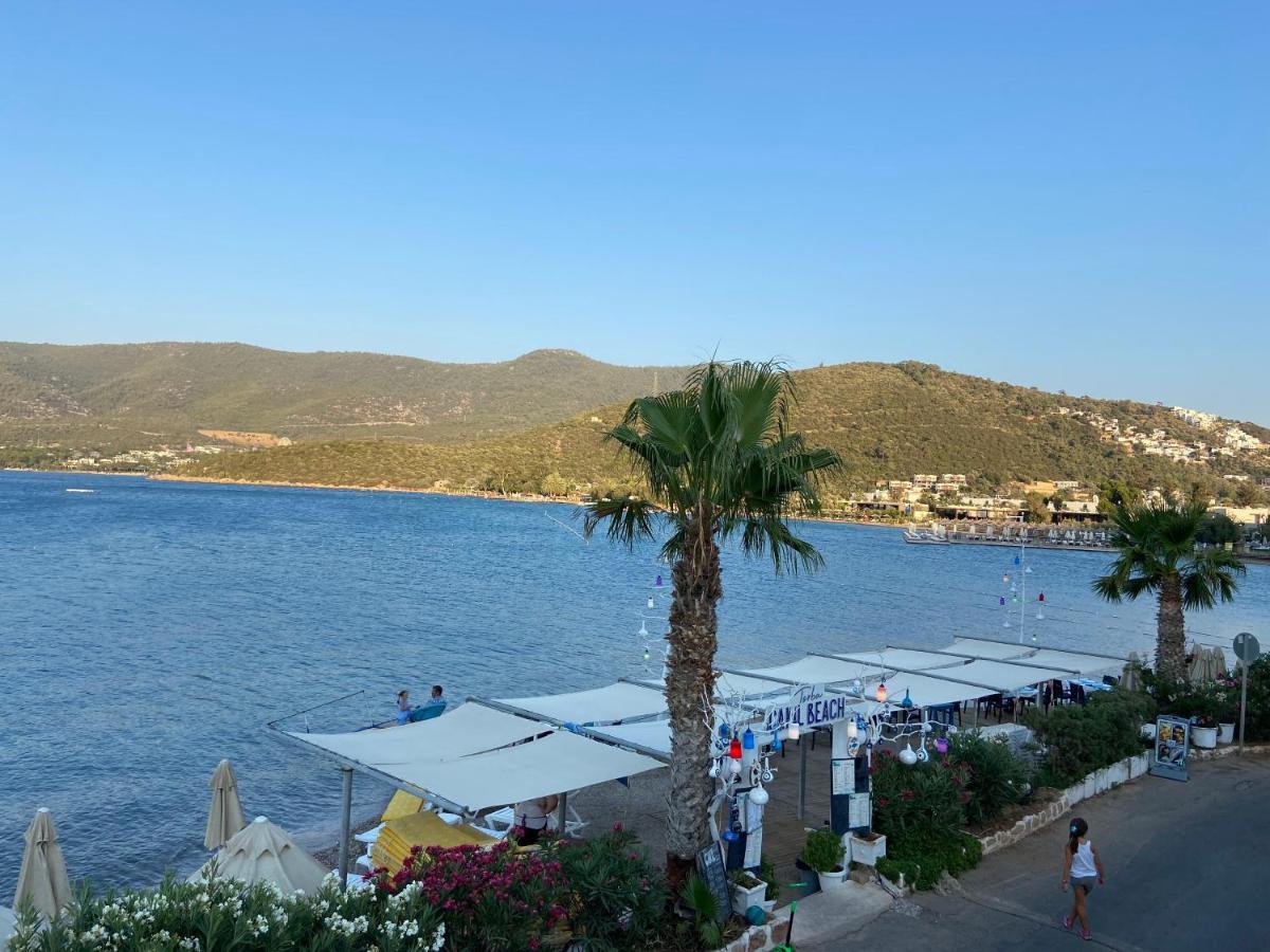 Omar & Hotel Torba