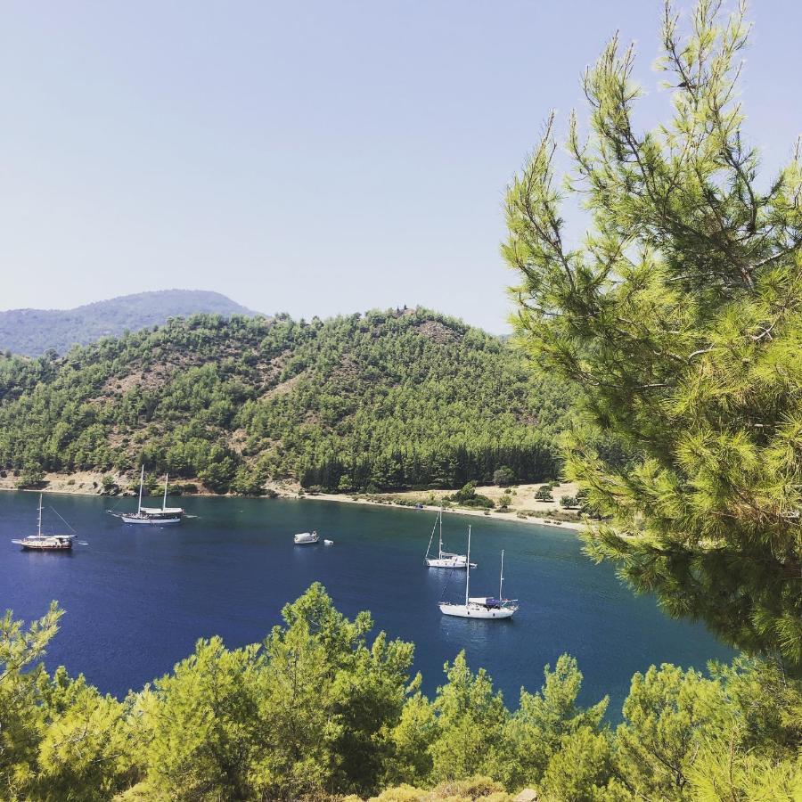 Dalya Life Gocek (Fethiye)