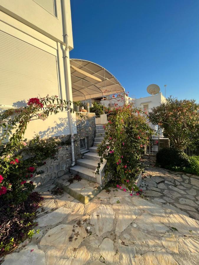 Bella Vista - Near The And Airport Villa