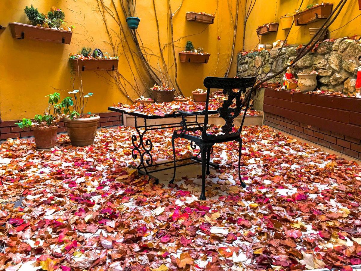 Hotel Erguvan - Special Category Istanbul