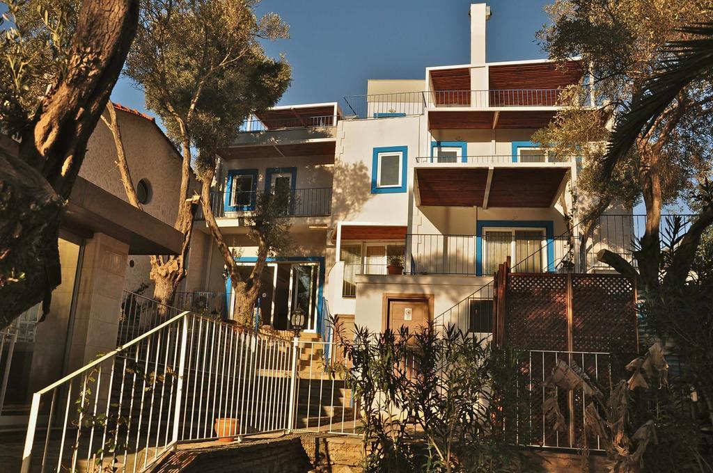 Zena Bodrum