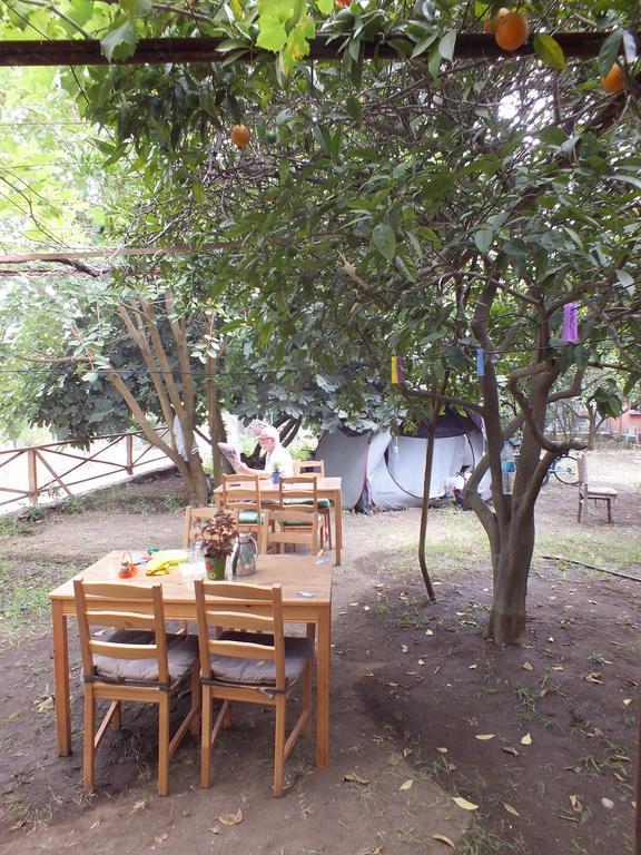 Hotel Teo Hotel&pansion Cirali