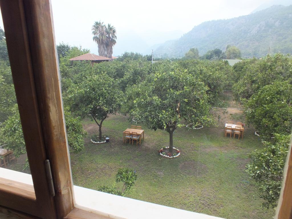 Teo Hotel&pansion Hotel *