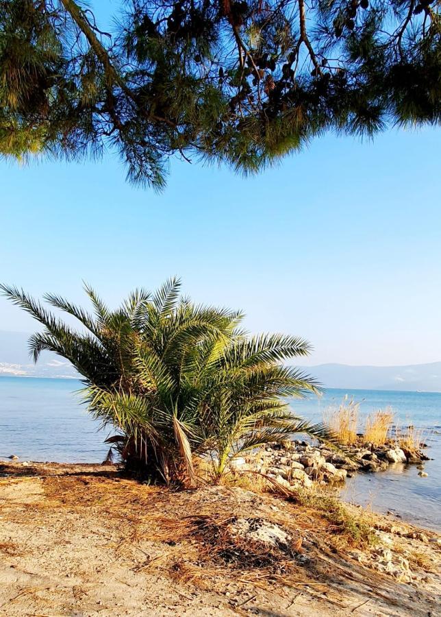 Villa Stilvolle Mit Strandlage