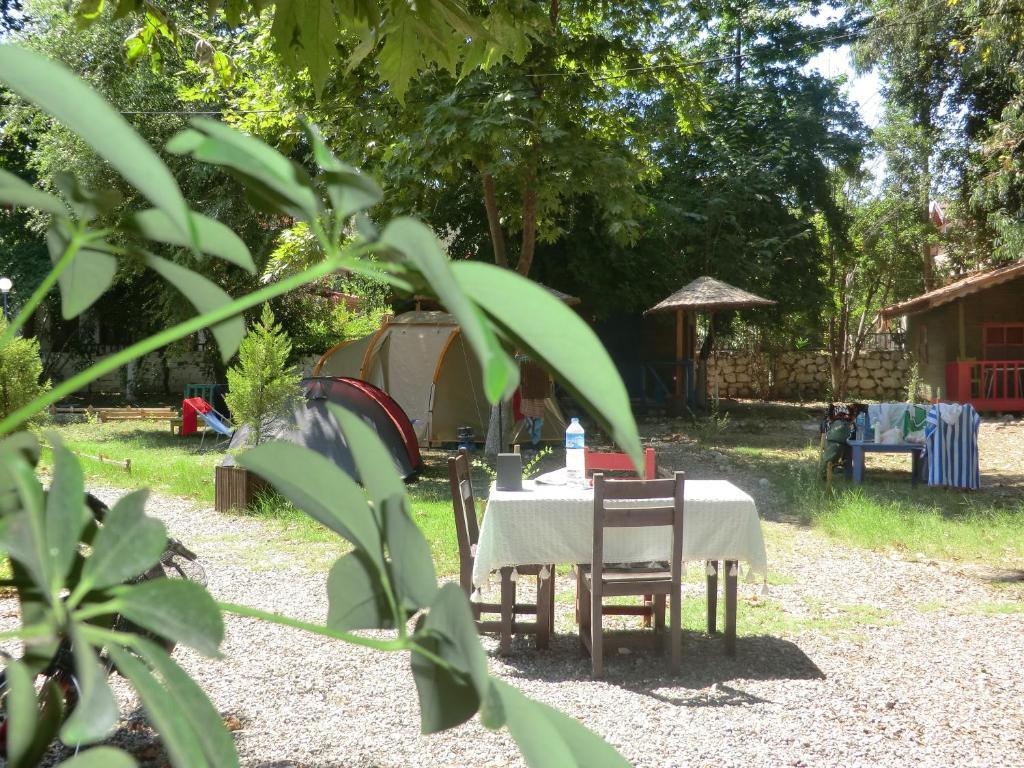 Camping *