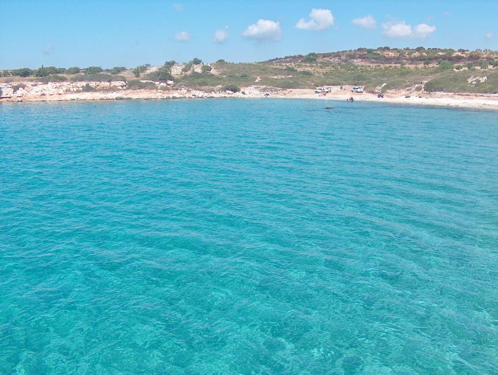 Triton Apartment Didim