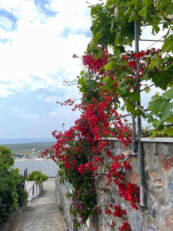 Bella Vista - Near The And Airport Villa
