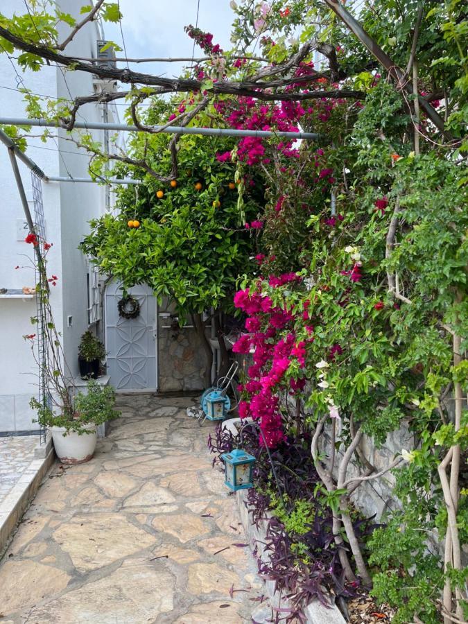 Villa Bella Vista - Near The And Airport