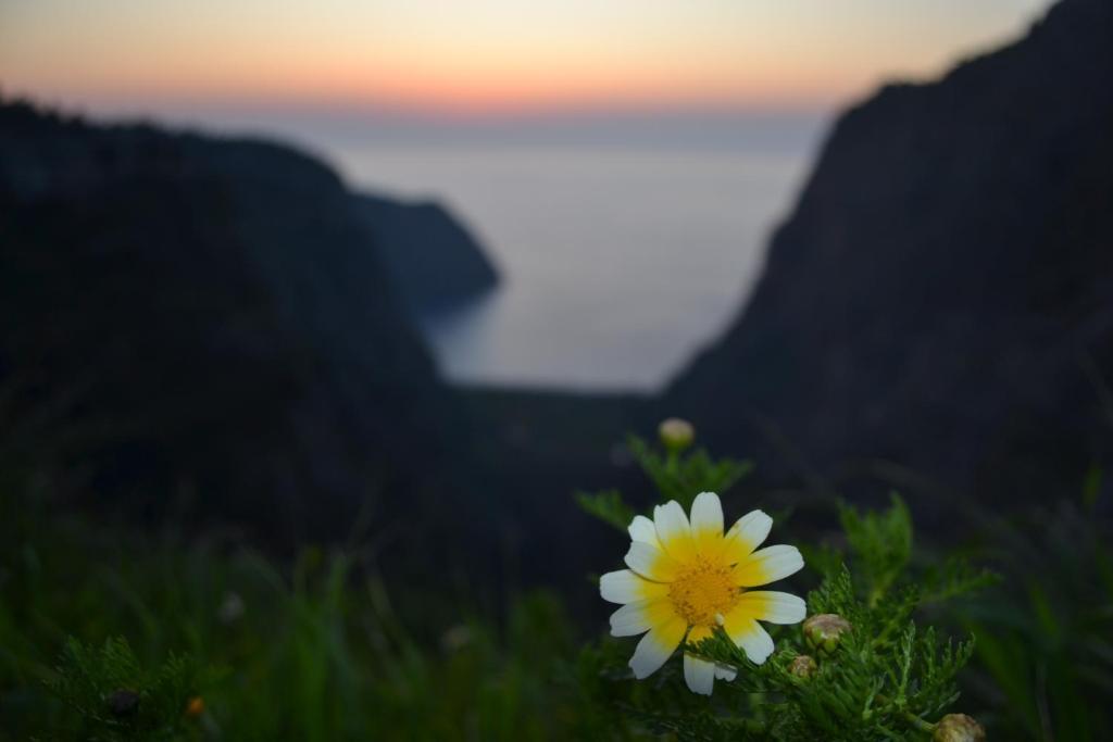 Montenegro *