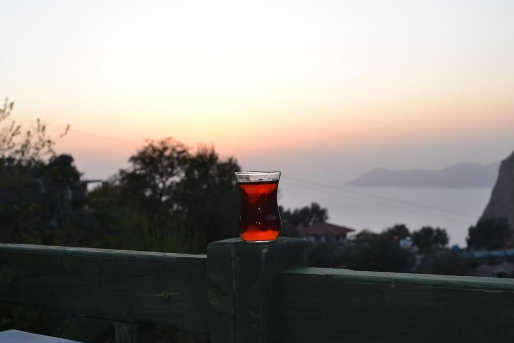 Montenegro * Faralya