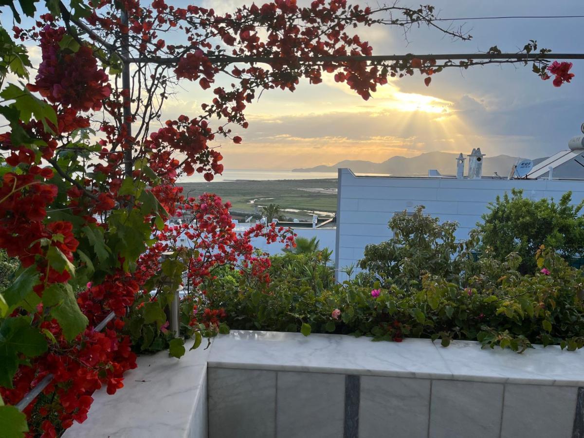 Bella Vista - Near The And Airport Villa