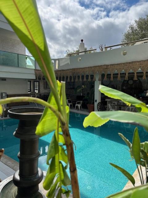Brera - Special Category 4* Alacati