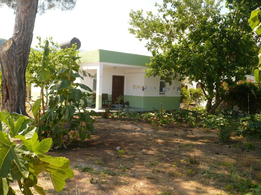 Kiyi Guest house Cirali
