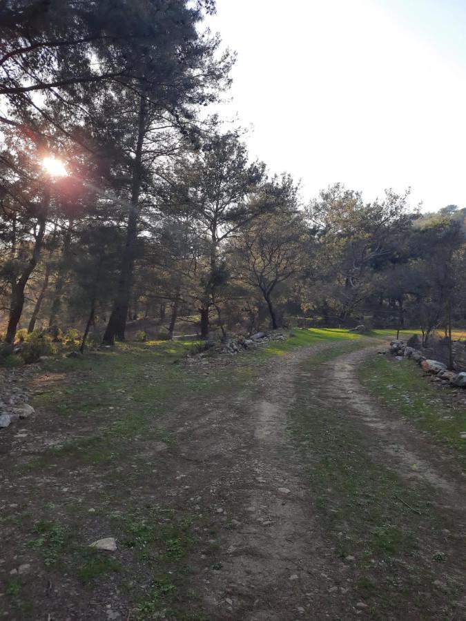 Campsite Retreat Kayakoy