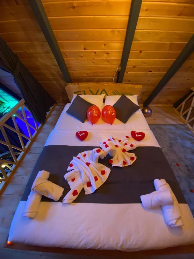Chalet Elva Camlihemsin