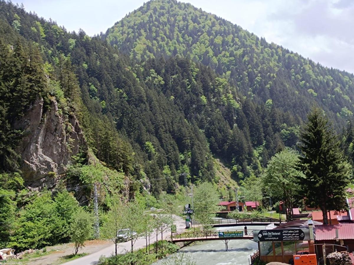 Soylu Uzungol