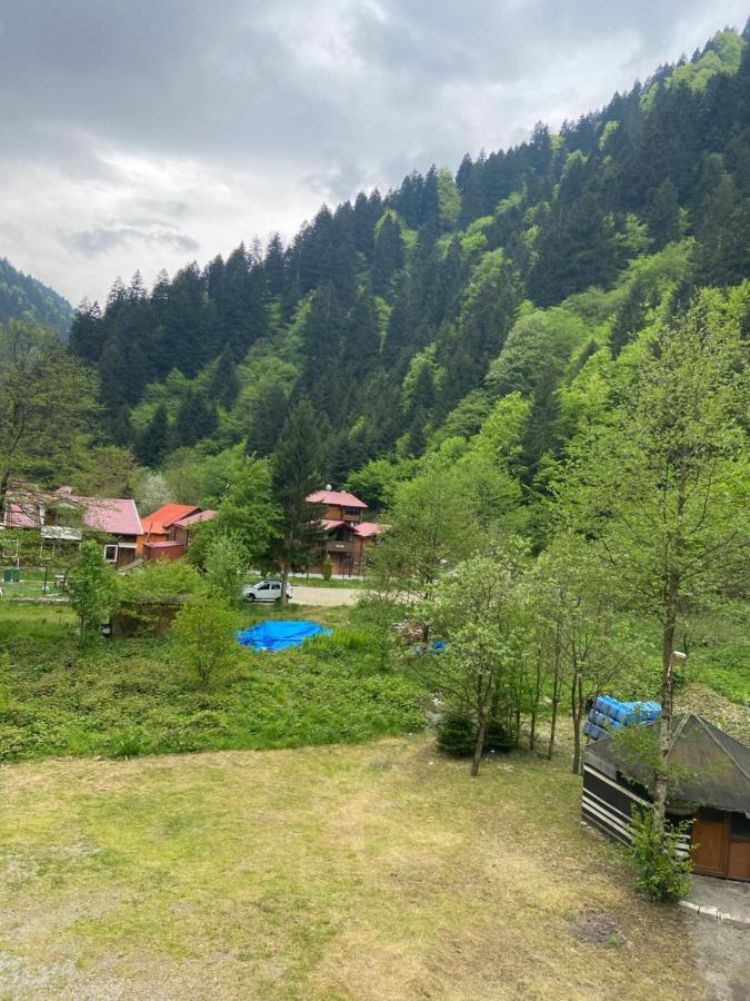 Soylu Hotel 3*