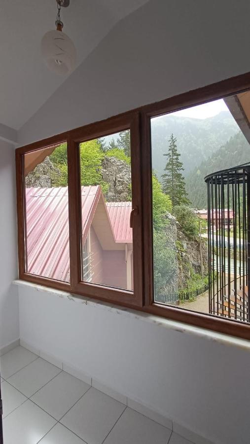 Hotel Soylu