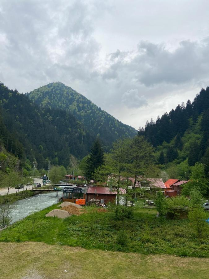 Soylu Uzungol