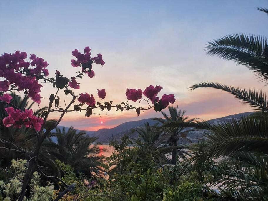 Apartment Cactus Garden - Club Patara *