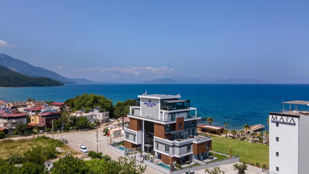 Artan * Guzelcamli
