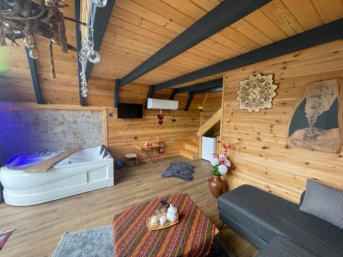 Chalet Elva Camlihemsin