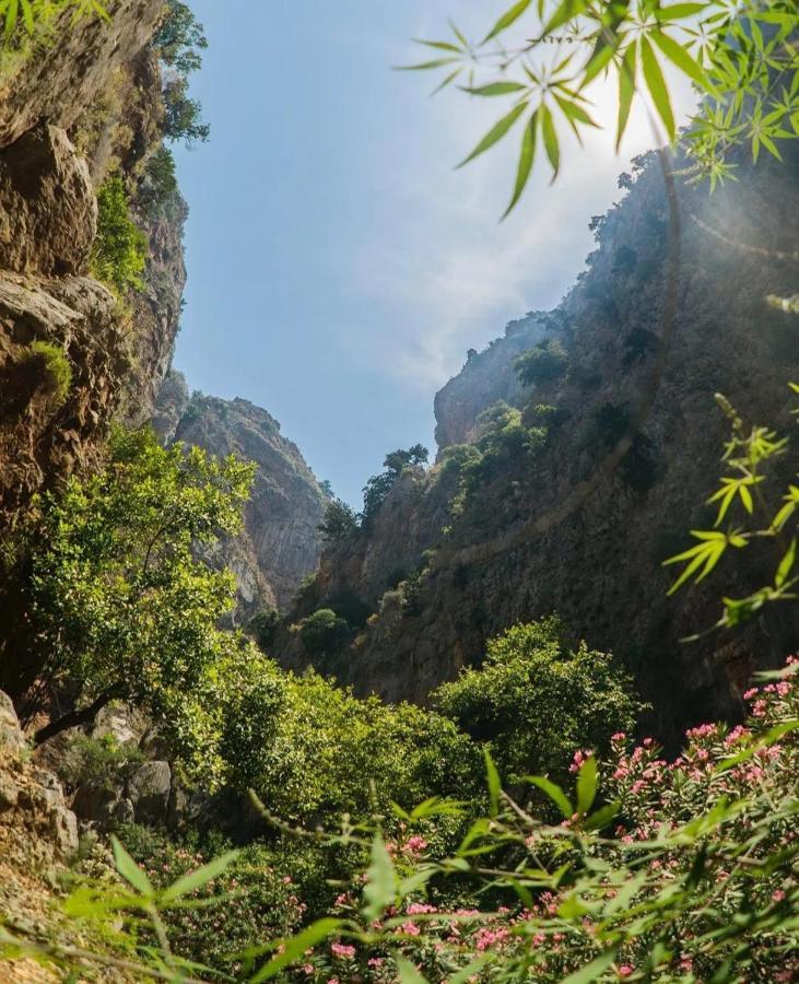 Butterfly Valley Glamping Luxury tent Oludeniz