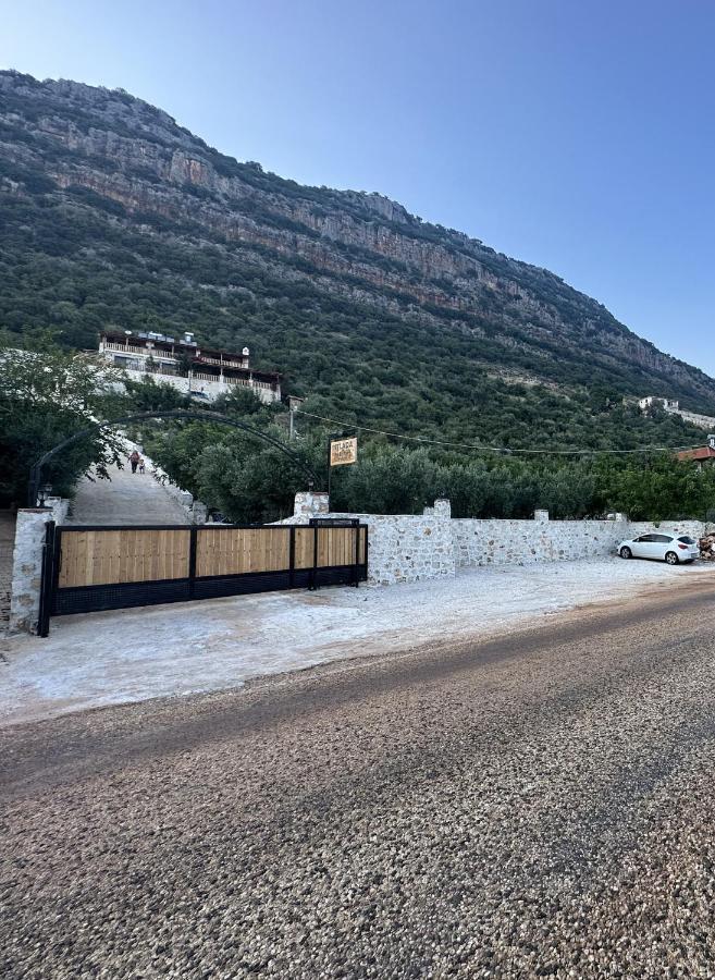 Guest house Istlada Tas Ev - Kekova View Kapakli
