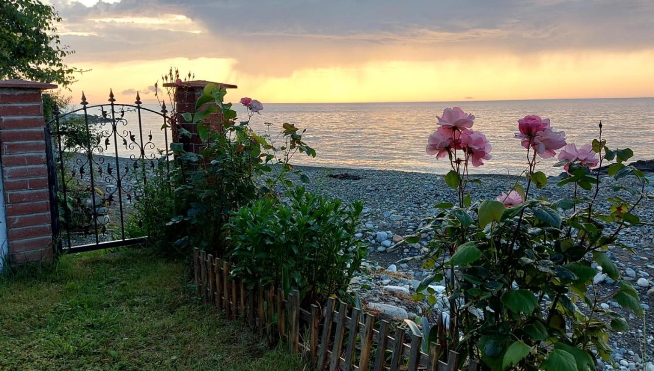 Seafront By The Sea And With A And With Big Garden Apartment Rize