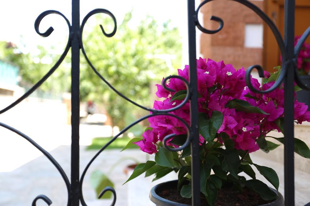Apartment Limon Apart