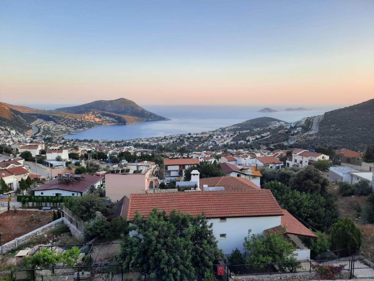 Villa Hadi