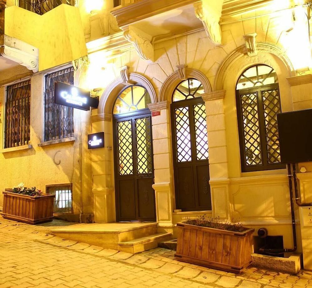 Calanthe Istanbul