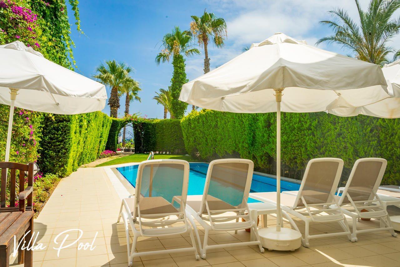 Emelda Sun Club