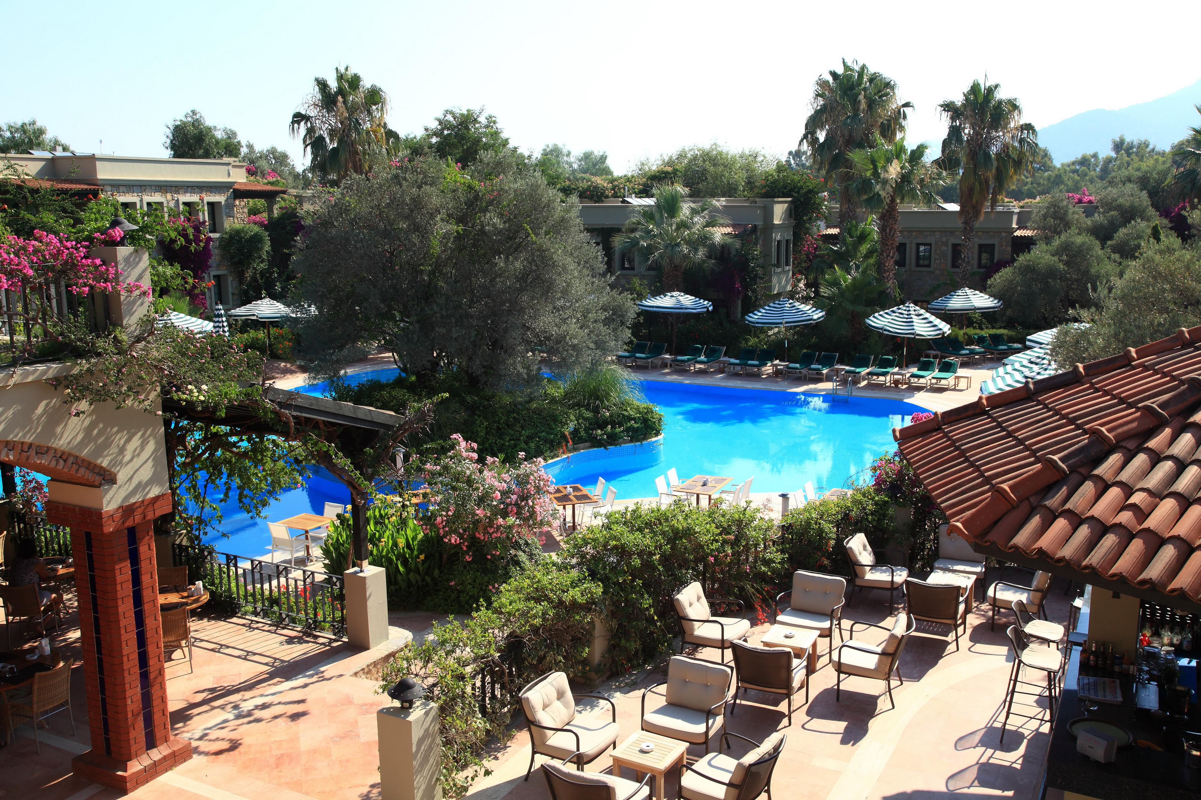 Zeytinada 4* Torba