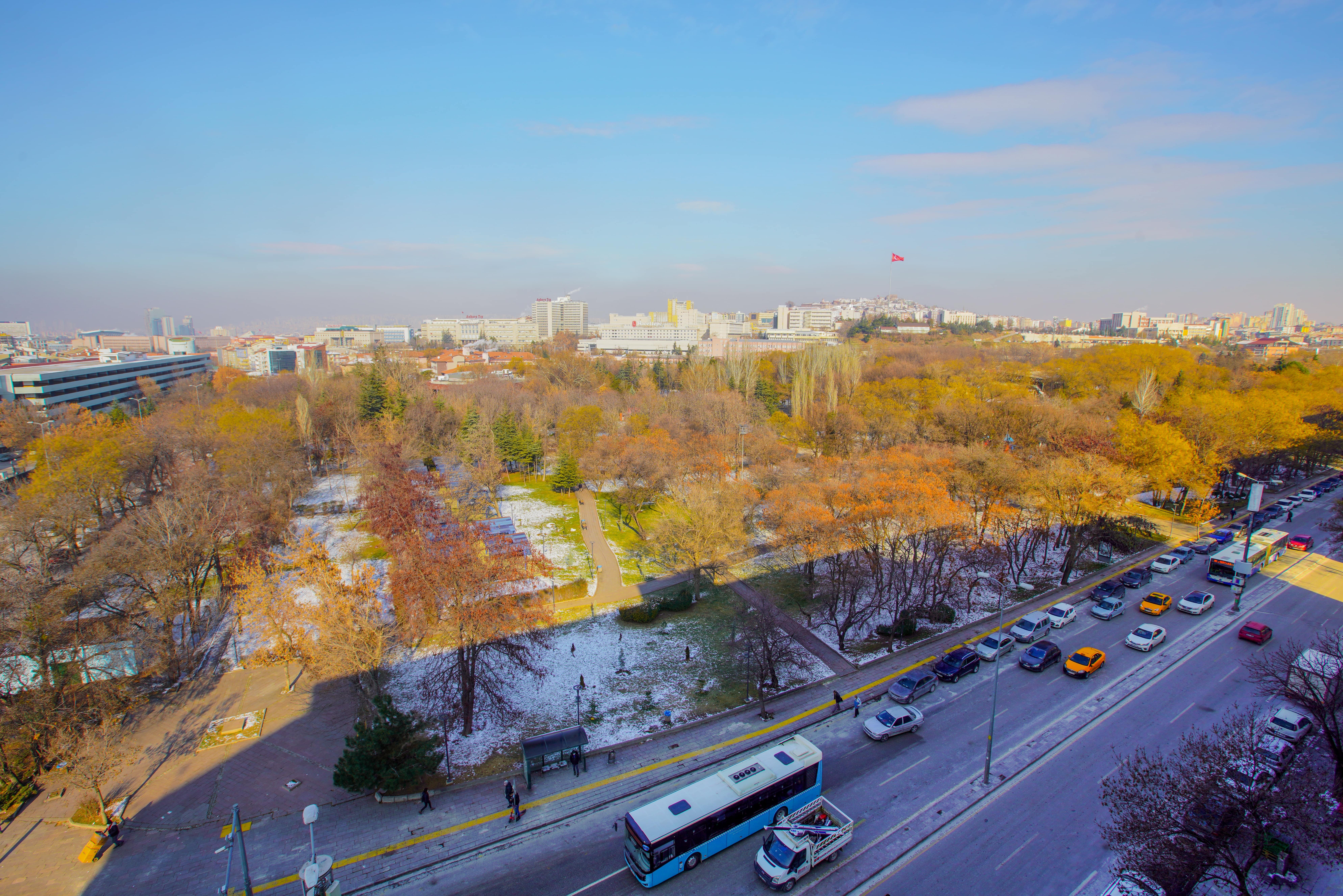 Hotel New Park