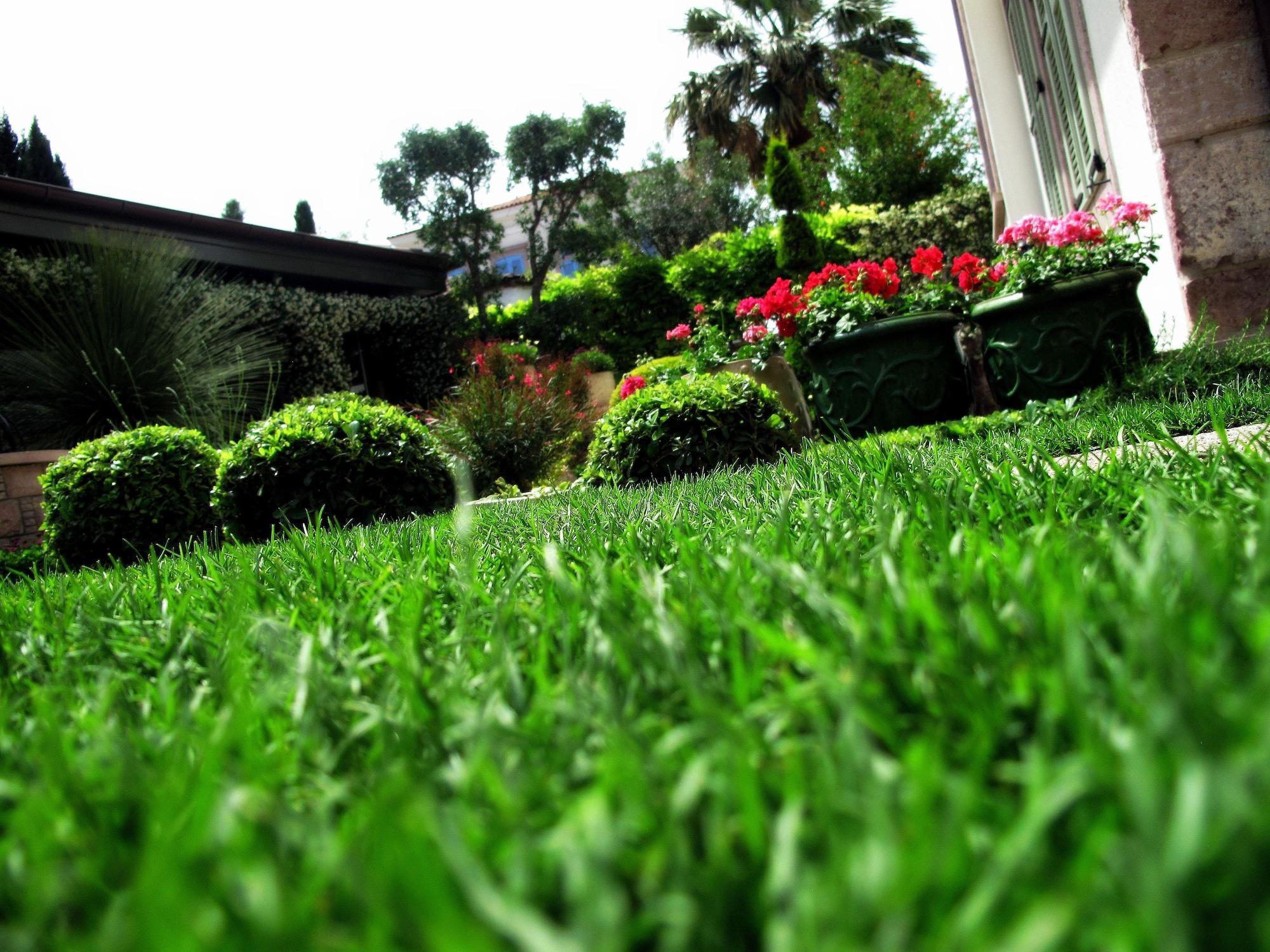 Nisi (adults Only) Hotel Ayvalik