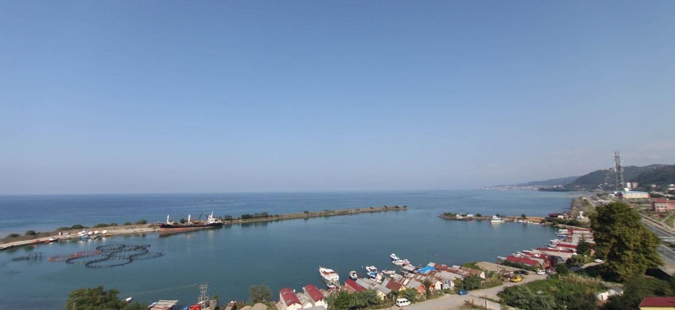 Hotel Alesha 4*