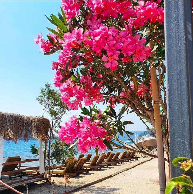 Asil Orhaniye * Orhaniye (Marmaris)