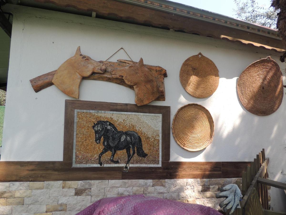 Hotel Apollon Garden Pamukkale Denizli (Denizli)