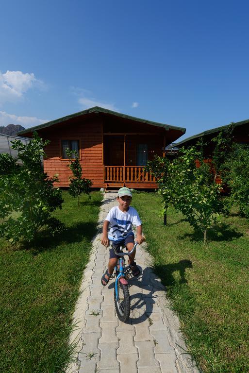 Yildiz Holiday park *