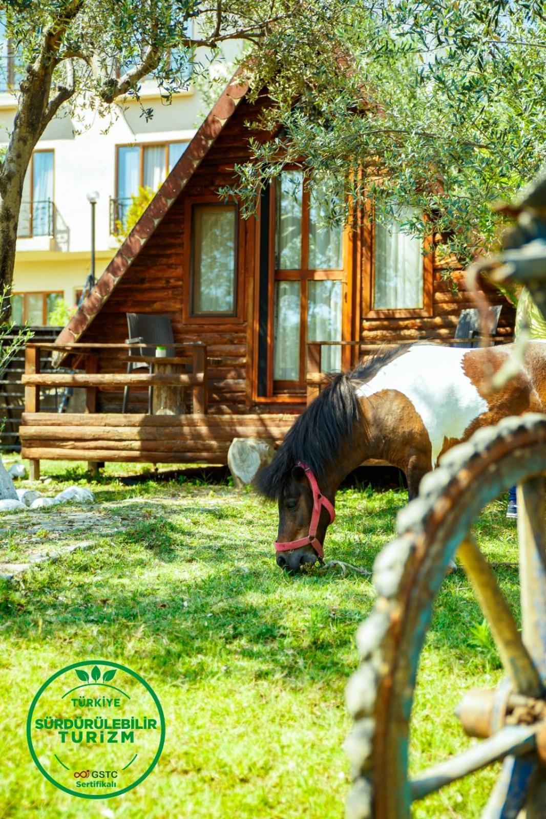 Kazdaglari Ida Natura Bungalov Hotel Hotel