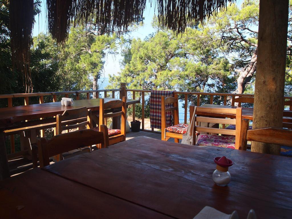 Resort Yuva Eco Holiday Yoga Retreat *