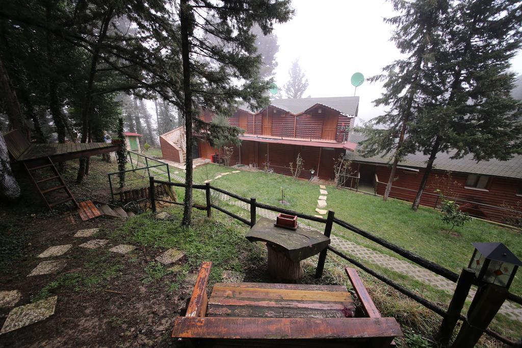 Forest Lodge *