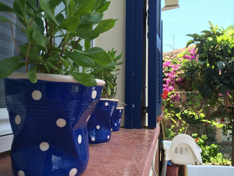 Hotel Duru *