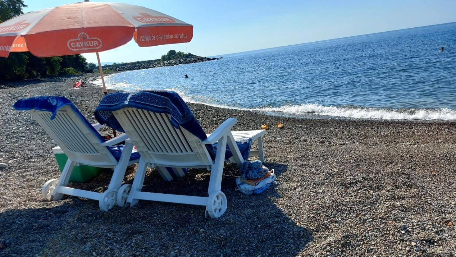 Seafront By The Sea And With A And With Big Garden Apartment