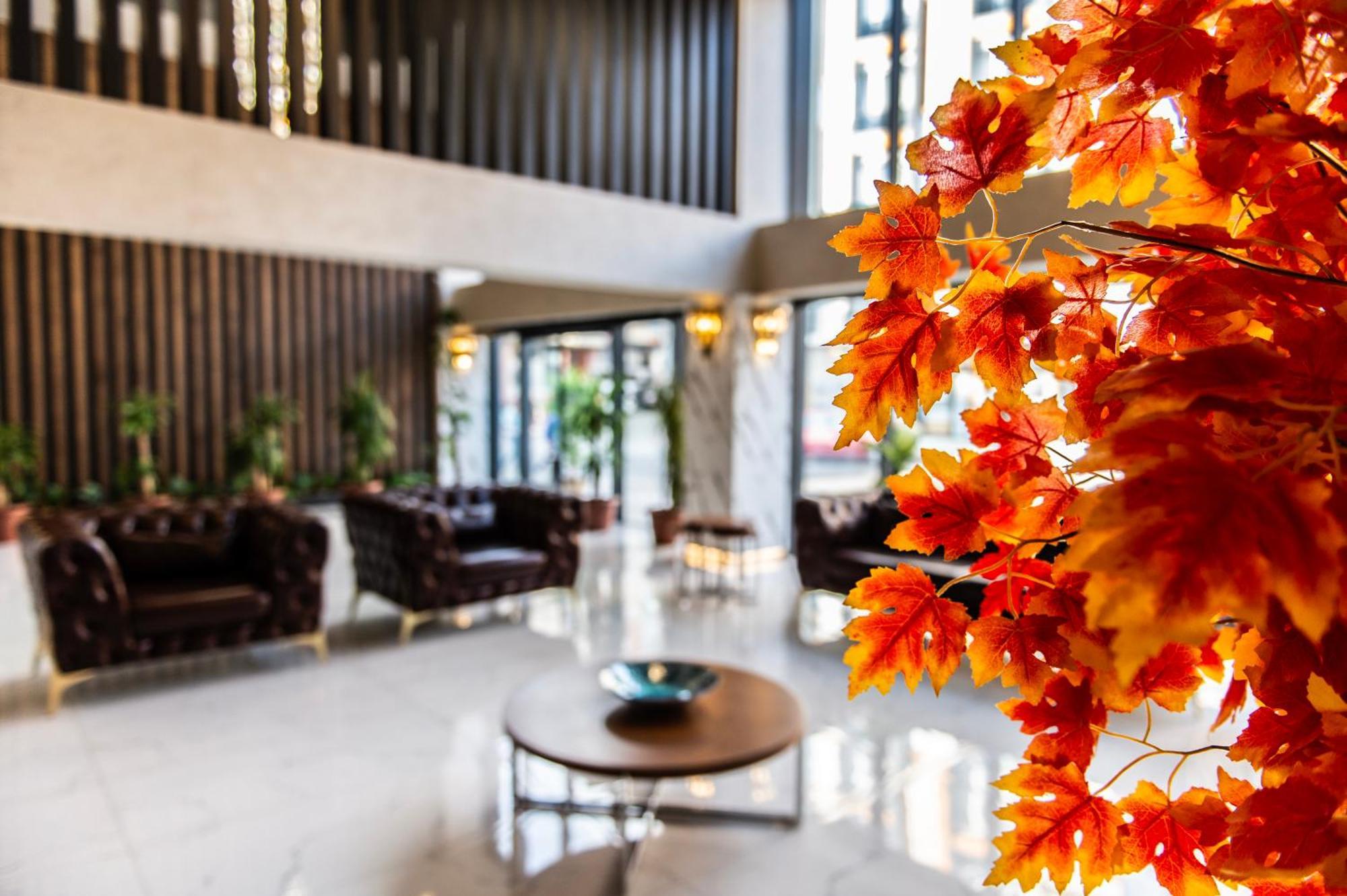 Hotel Blue Vista &