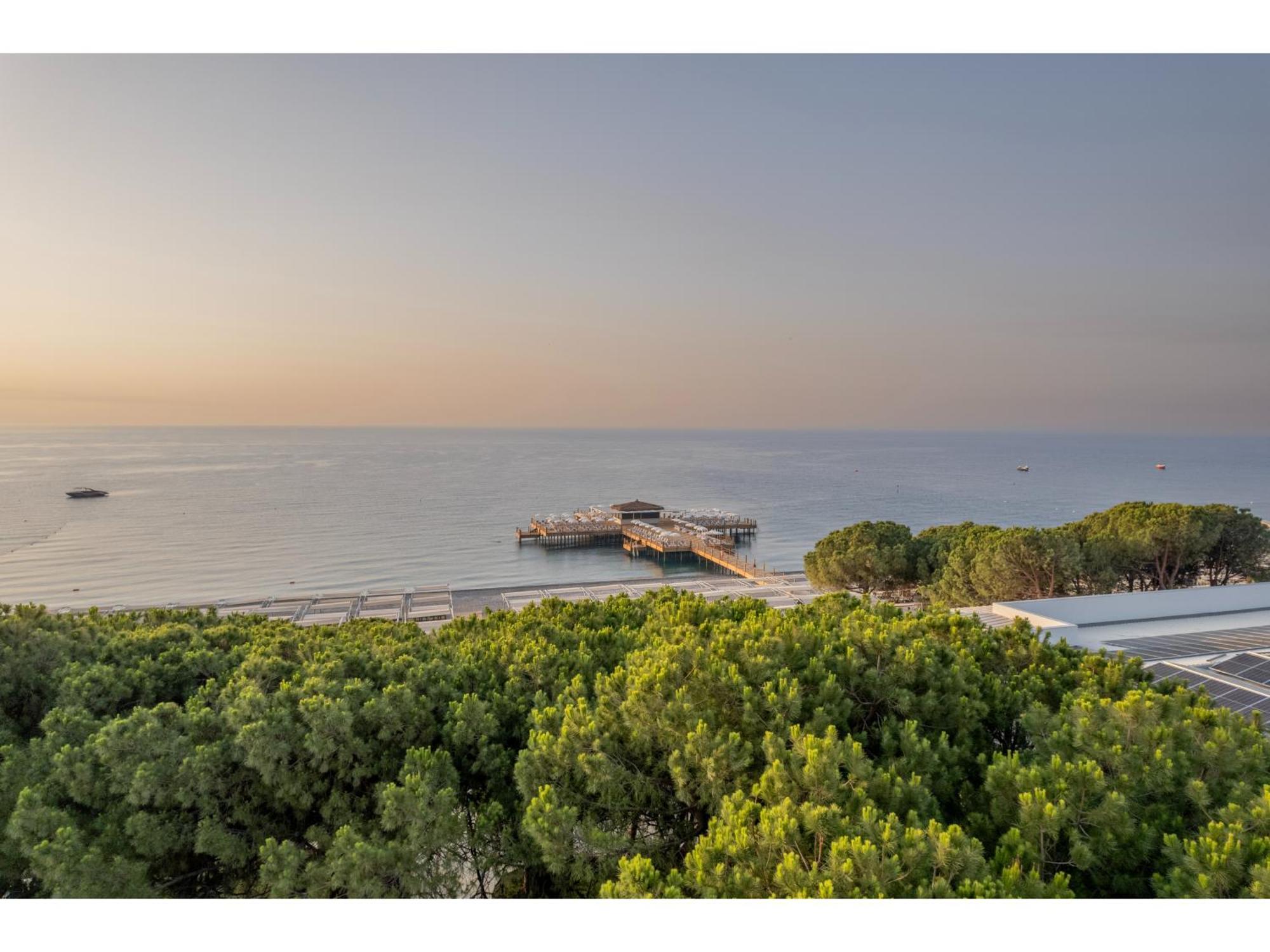 Swandor & - Hotel