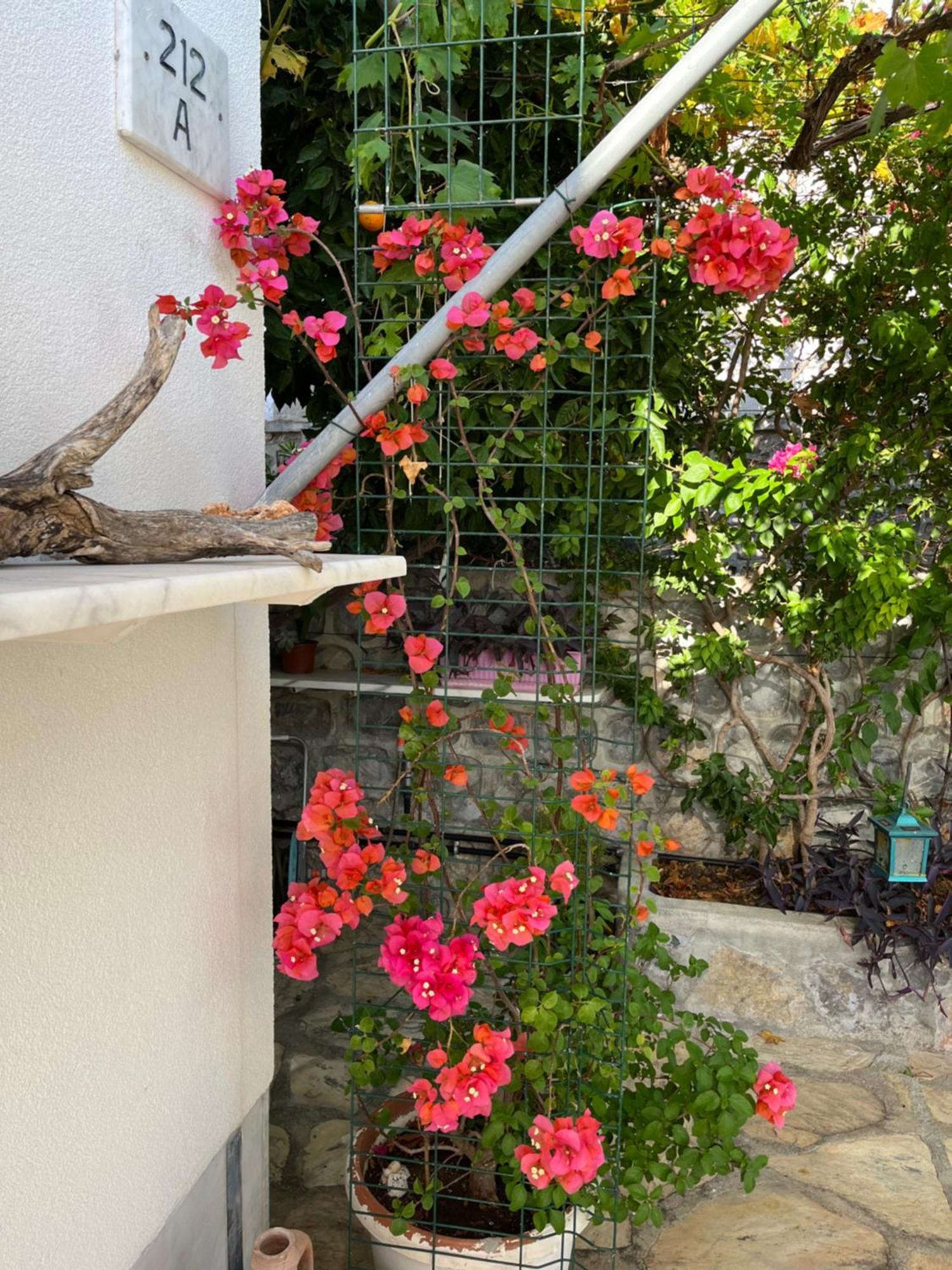 Villa Bella Vista - Near The And Airport Dalaman